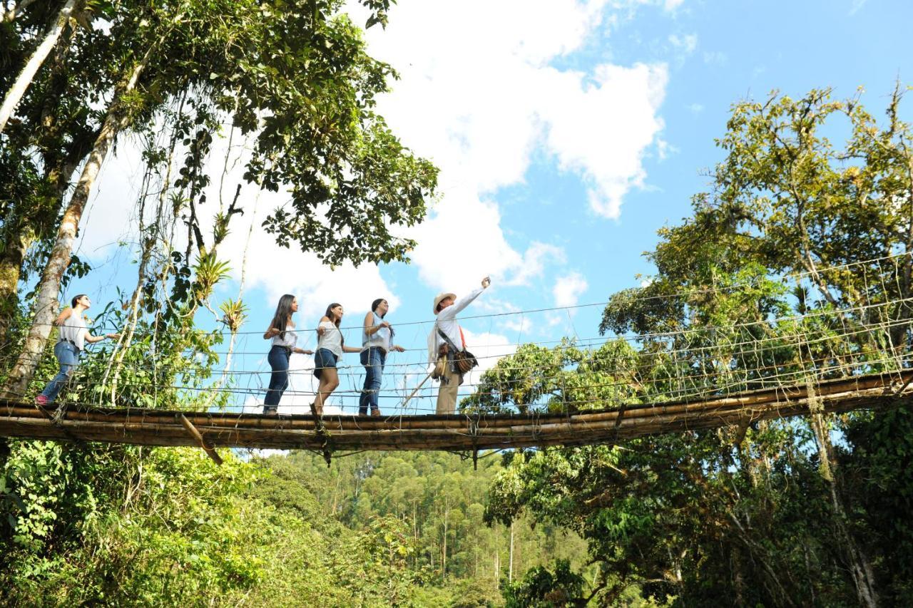 Hacienda Charrascal Coffe Farm Leilighet Manizales Eksteriør bilde